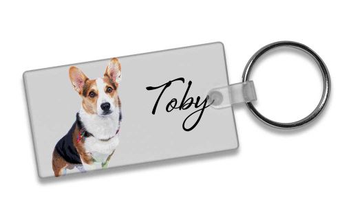 pet portrait keyrings